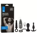 California Exotic Anal Prostat Başlangıç Seti 2