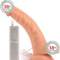 VSCNovelty Mr. Rude Buzzer 9” Titreşimli Eğik Realistik Penis 23 cm 1