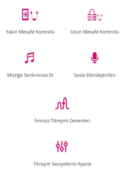 Lovense Gemini Titreşimli ve Telefon Kontrollü Meme Kelepçeleri 5