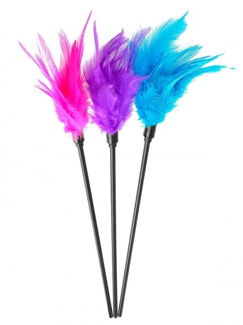 Sexy Feather Tickler Tüy