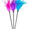 Sexy Feather Tickler Tüy