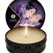 Shunga Massage Candle Exotic Fruits 30 ml